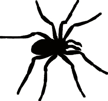 Spider S0302 small halloween,outdoor,fright, packs of 10